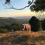 De Montagne Au Pied Du Champ Du Feu Appartamento