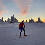 De Montagne Au Pied Du Champ Du Feu * Belmont (Bas-Rhin)