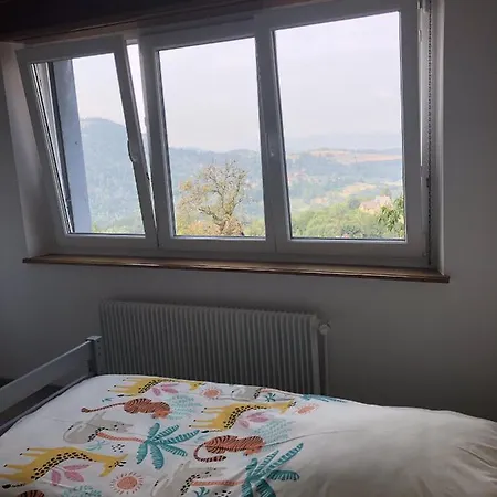 De Montagne Au Pied Du Champ Du Feu アパート ベルモン