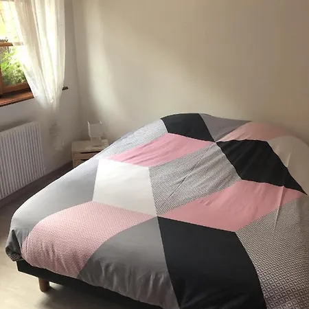 De Montagne Au Pied Du Champ Du Feu アパート ベルモン