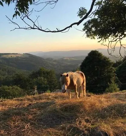 De Montagne Au Pied Du Champ Du Feu アパート