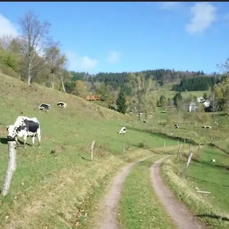 De Montagne Au Pied Du Champ Du Feu *