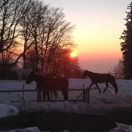 アパート De Montagne Au Pied Du Champ Du Feu *